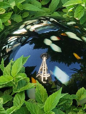 Reflection of the Space Needle captured in a mirrored sphere surrounded by green leaves