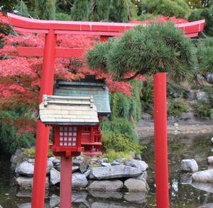 Red torii gate and small shrine in a peaceful garden with autumn foliage