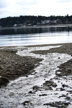 Winding shoreline path leading through calm water in black and white