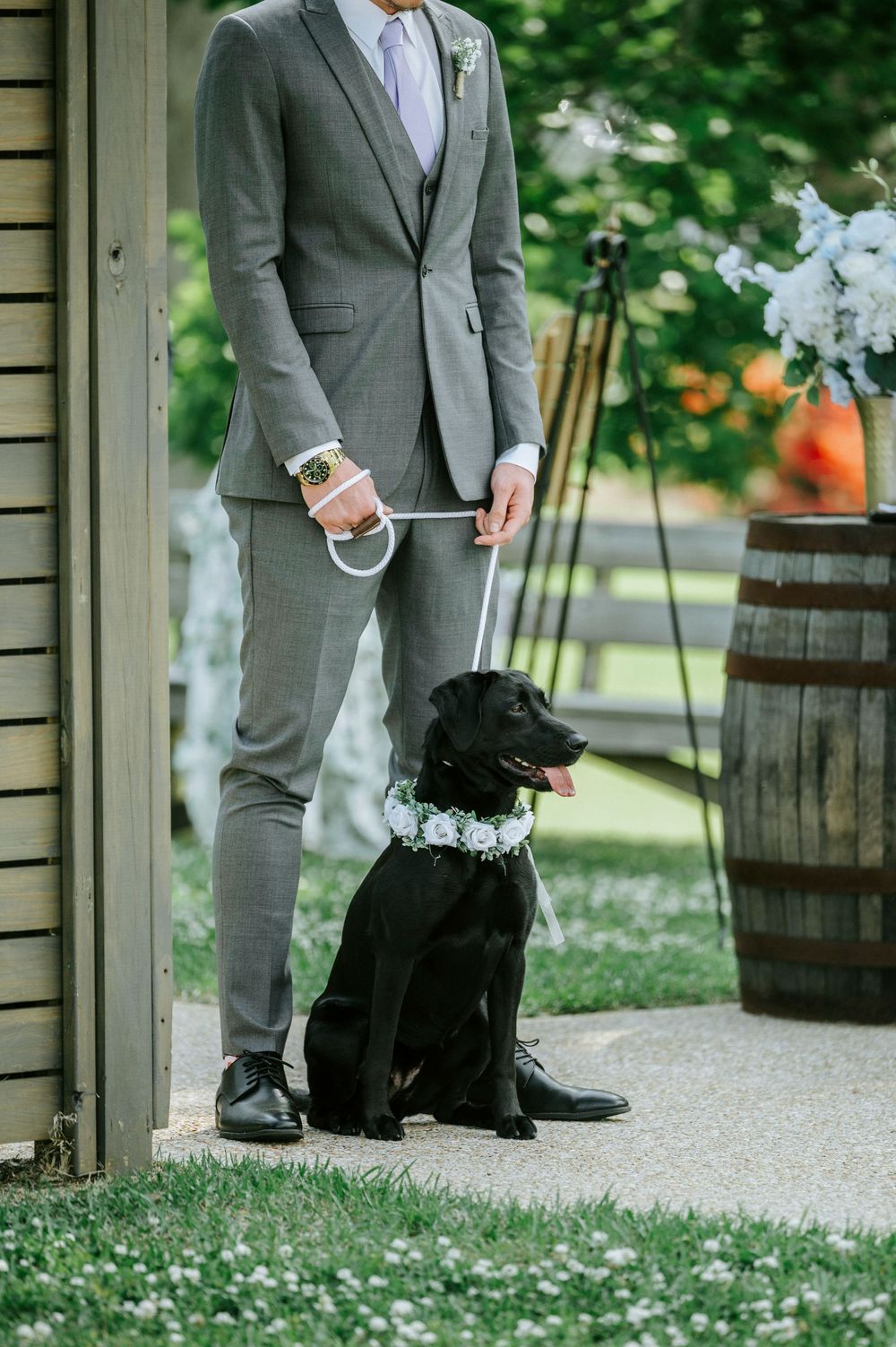 Black Labrador with floral collar sits beside groomsman in gray suit at wedding.