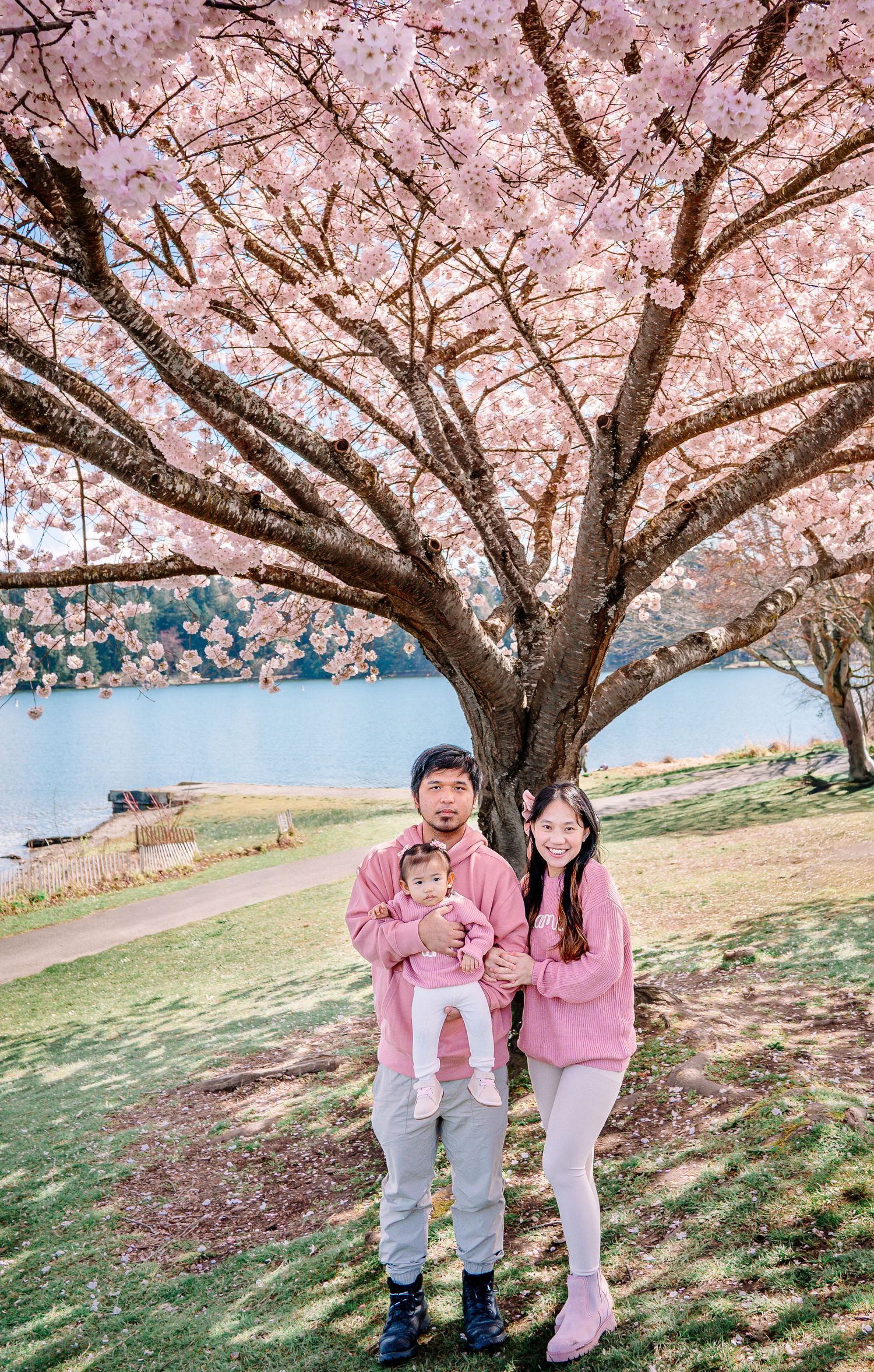 Parents standing with toddler under cherry blossom tree in Seattle, near Lake Washington and Seward Park.