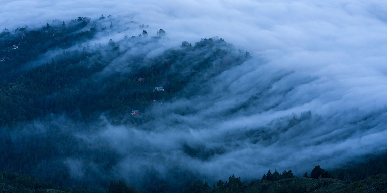 Thick marine fog rolls through a dark forested mountain slope creating ethereal wave-like patterns.