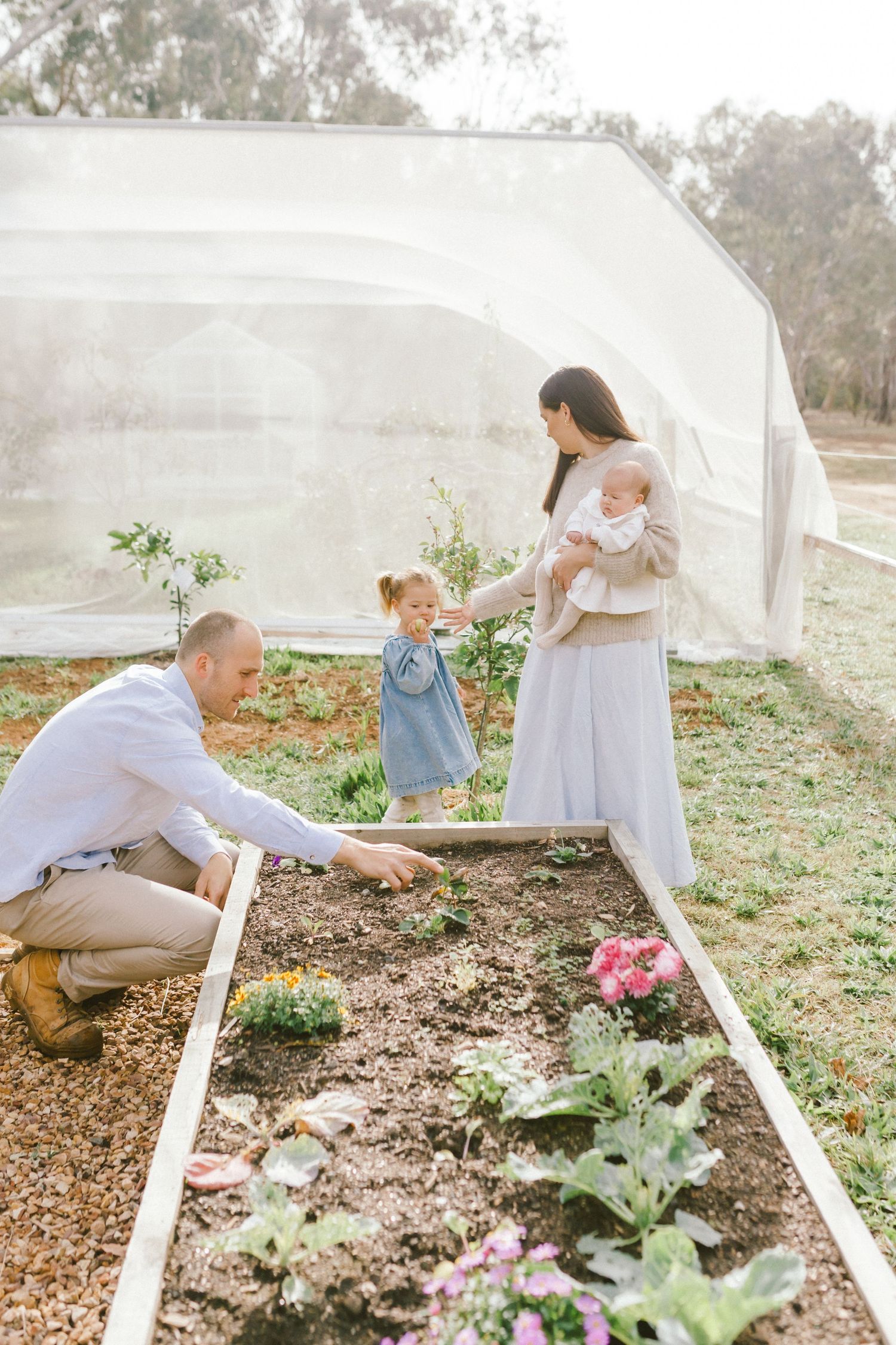 Family tending a raised garden bed near a greenhouse, with father kneeling, toddler girl standing, and mother holding a baby.