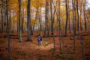Person standing alone in a stunning autumn forest covered with golden fallen leaves.