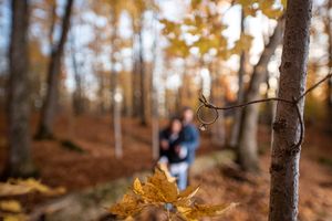 Engagement ring displayed on a branch with a couple blurred in an autumn forest background.