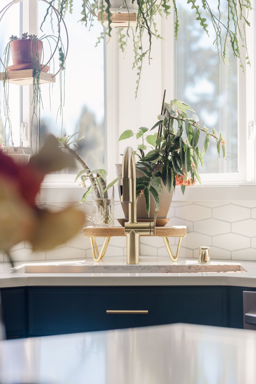 Bright kitchen corner with gold faucet, marble countertop, navy cabinets, and lush green plants by a sunlit window.