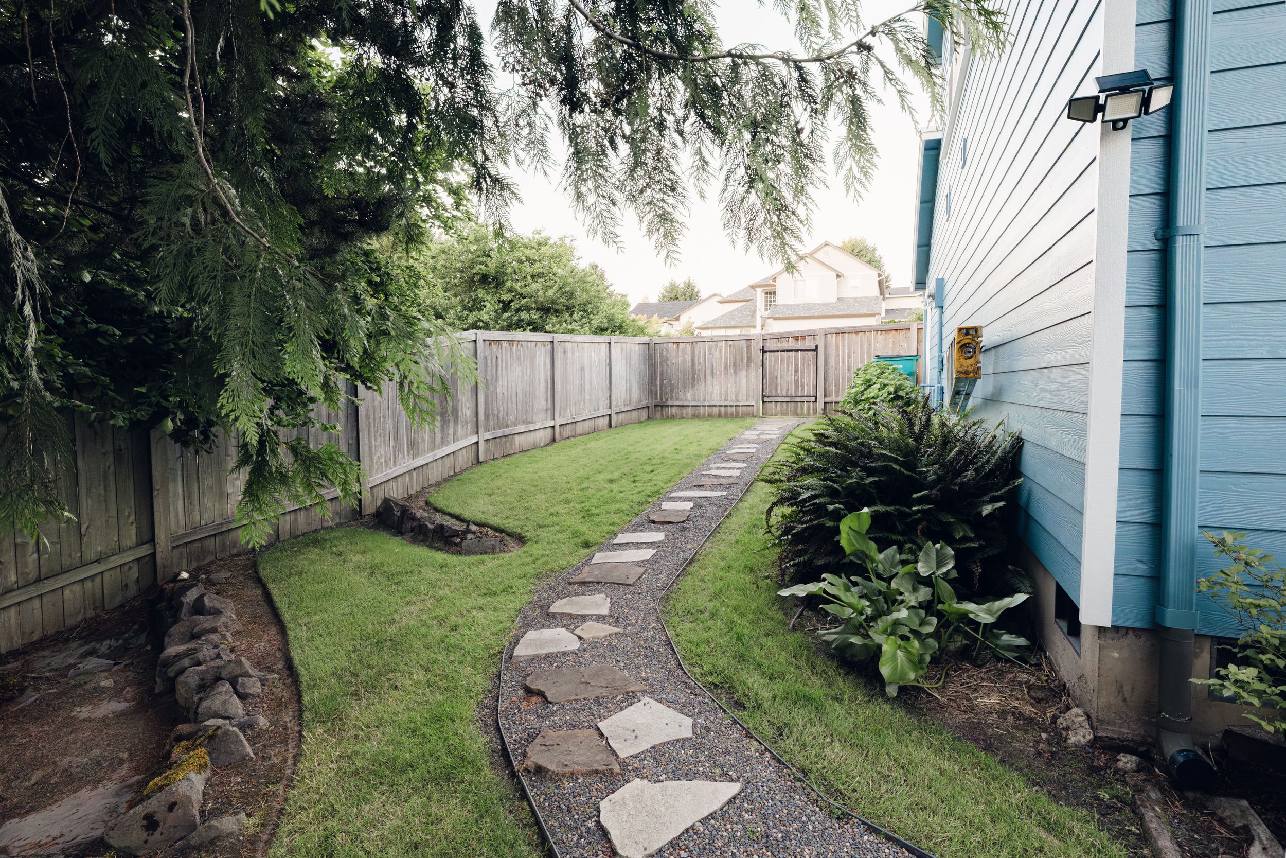 Narrow backyard pathway with stepping stones, lush green lawn, wooden fence, and tropical plants beside blue house exterior.