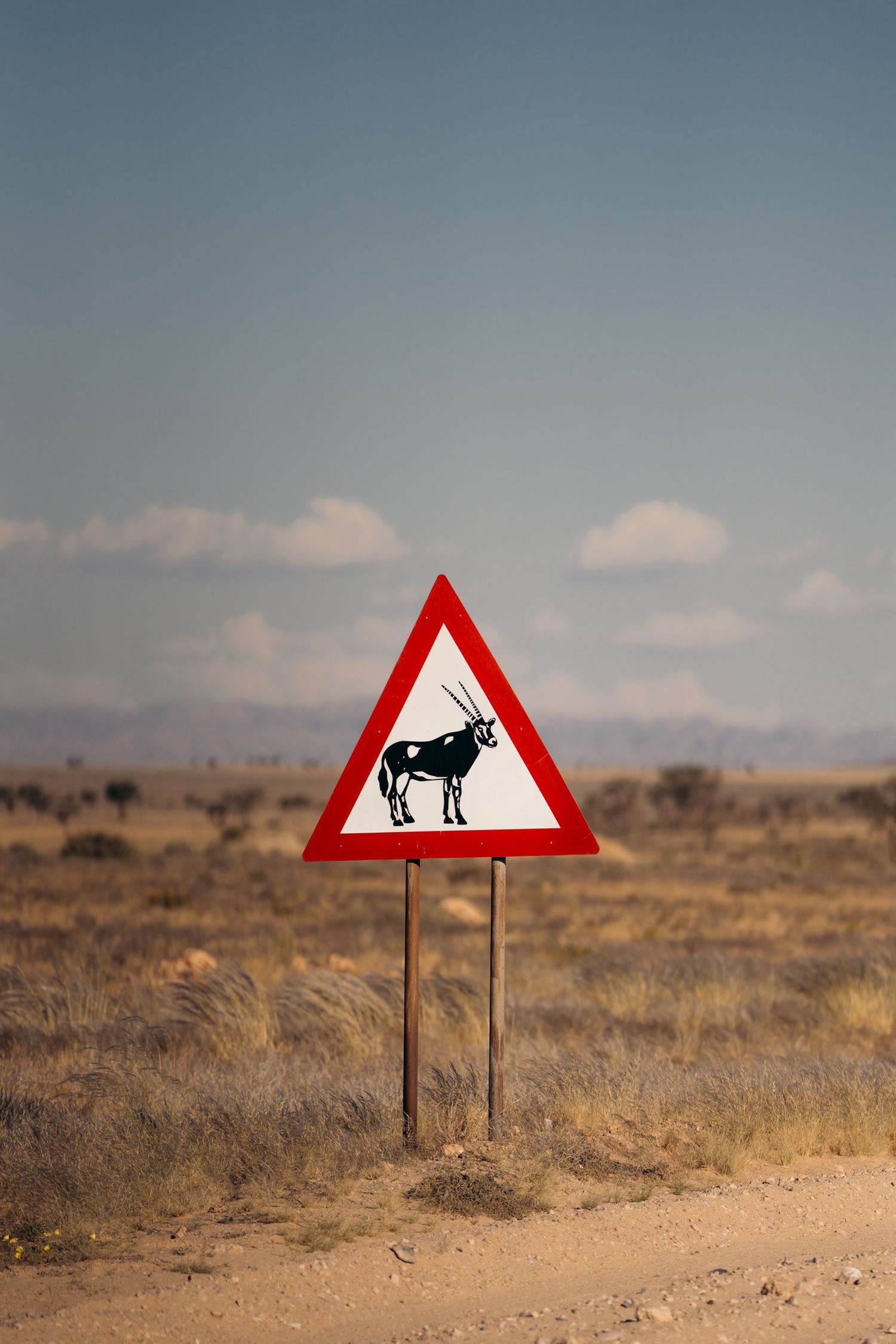panneau attention oryx route namibie