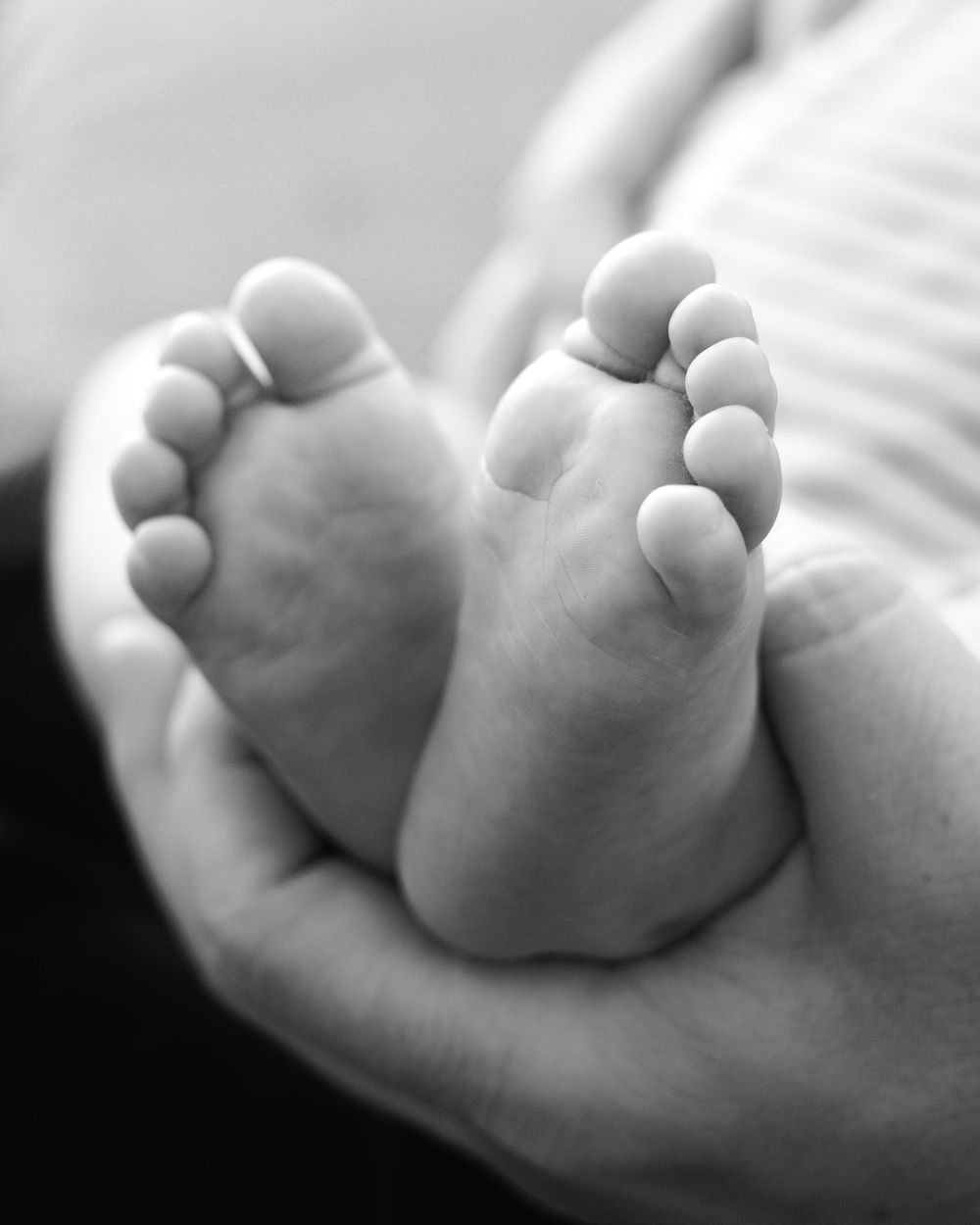 Black and white close-up of a newborn baby's tiny feet cradled gently in an adult's hands.