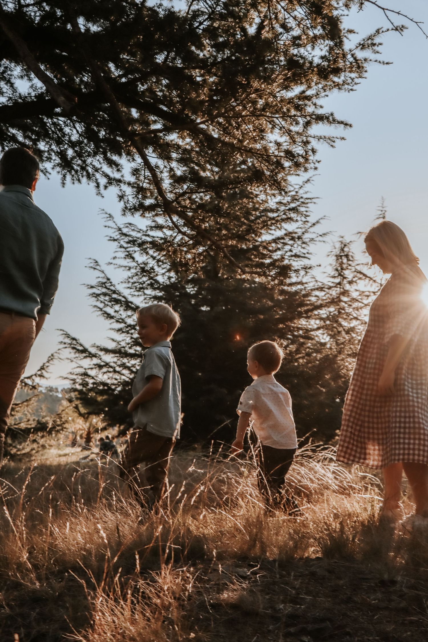 Family of four walking in golden hour sunlight through tall grass near a large evergreen tree outdoors.
