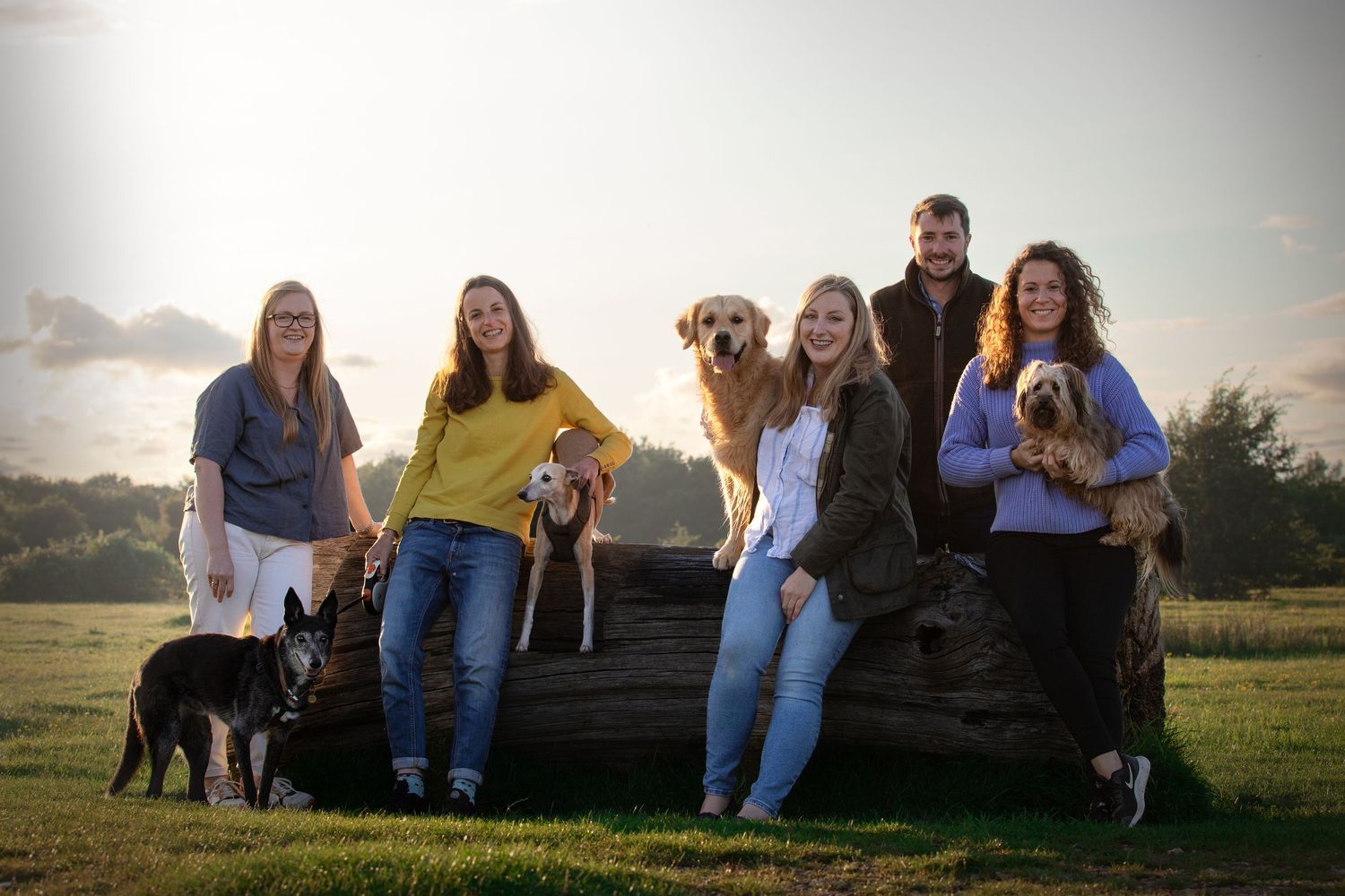 dog photography