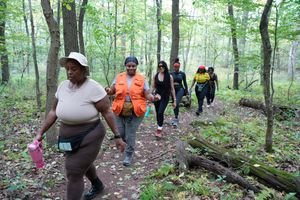 Group of women hiking on a forest trail surrounded by lush green trees during an outdoor nature walk.