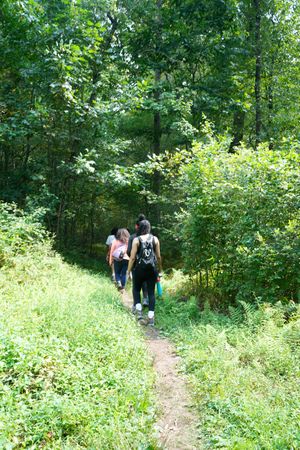 Two women hiking on a narrow forest trail surrounded by lush green trees and vegetation.