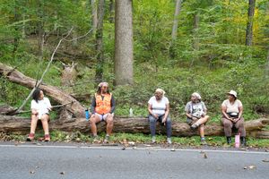 Five women resting on a fallen log beside a road in a lush green forest during autumn.