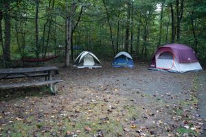 Three colorful camping tents set up at a wooded campsite with a picnic table and fallen autumn leaves on the ground.
