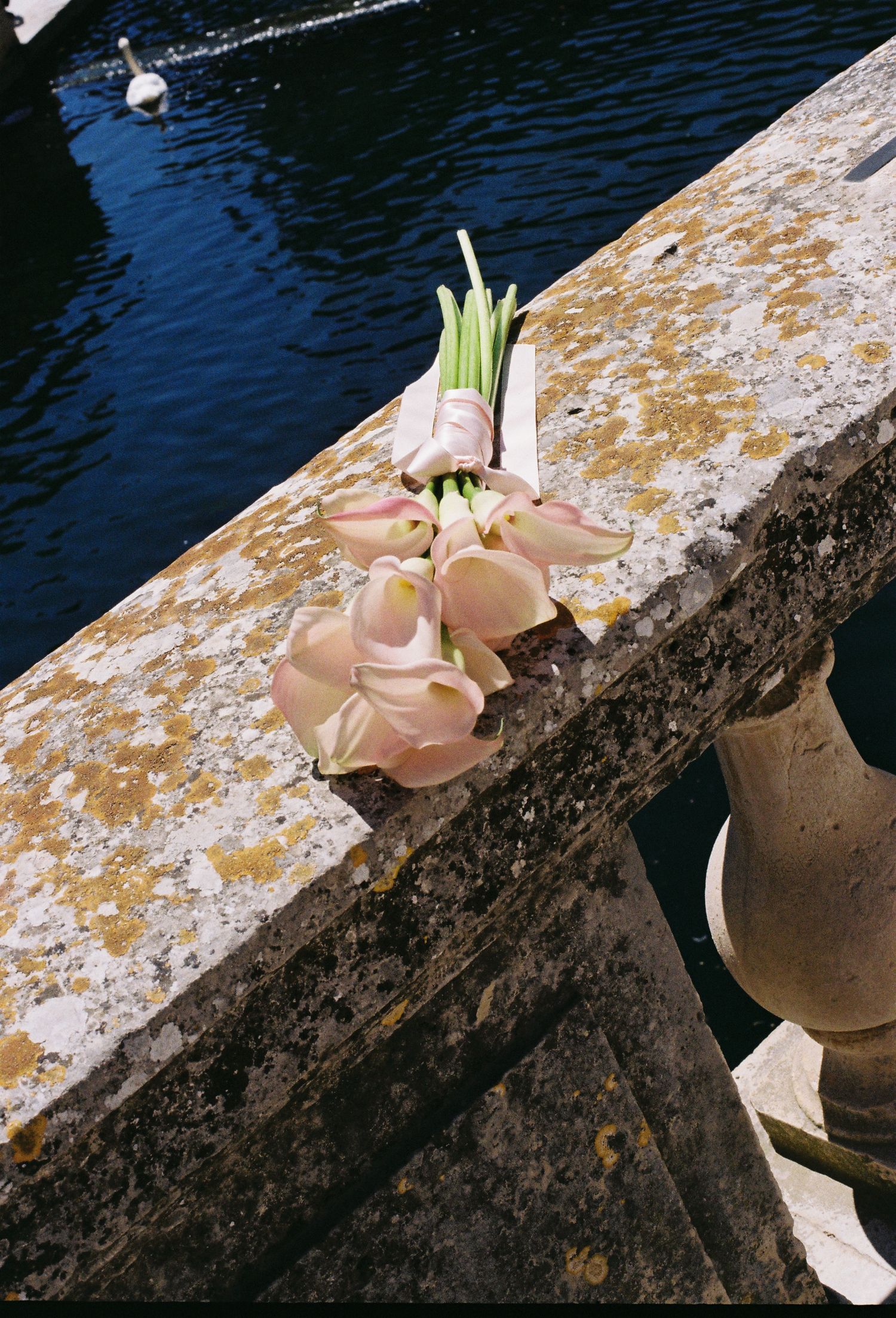 Pink calla lily wedding bouquet resting on a stone bridge railing beside water.