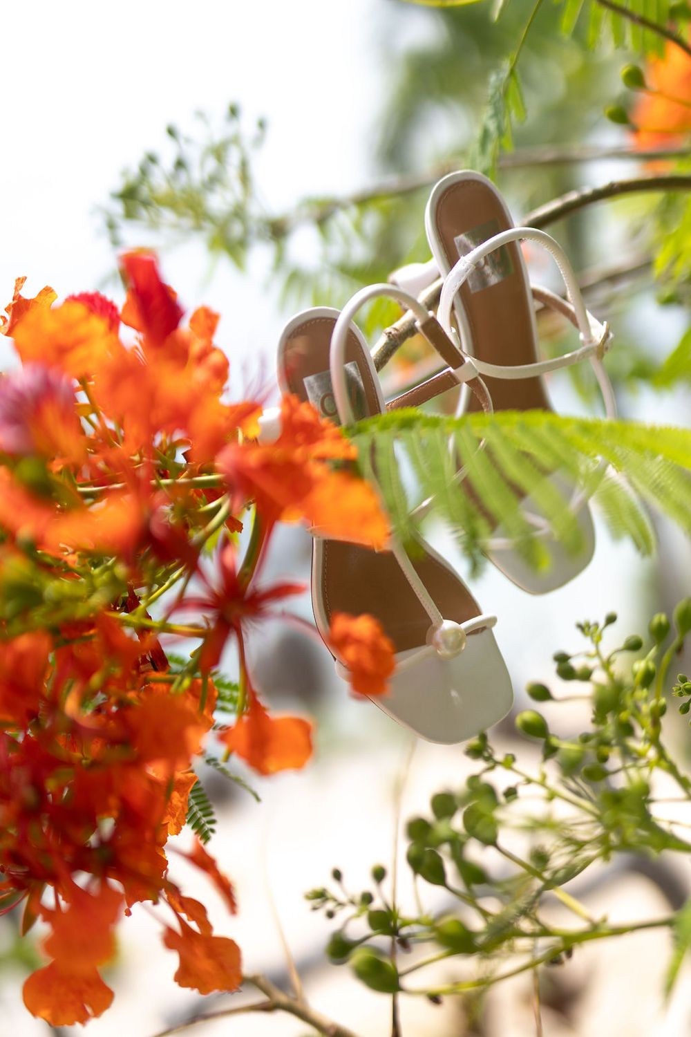 White strappy sandals hanging among vibrant orange tropical flowers and green foliage outdoors.