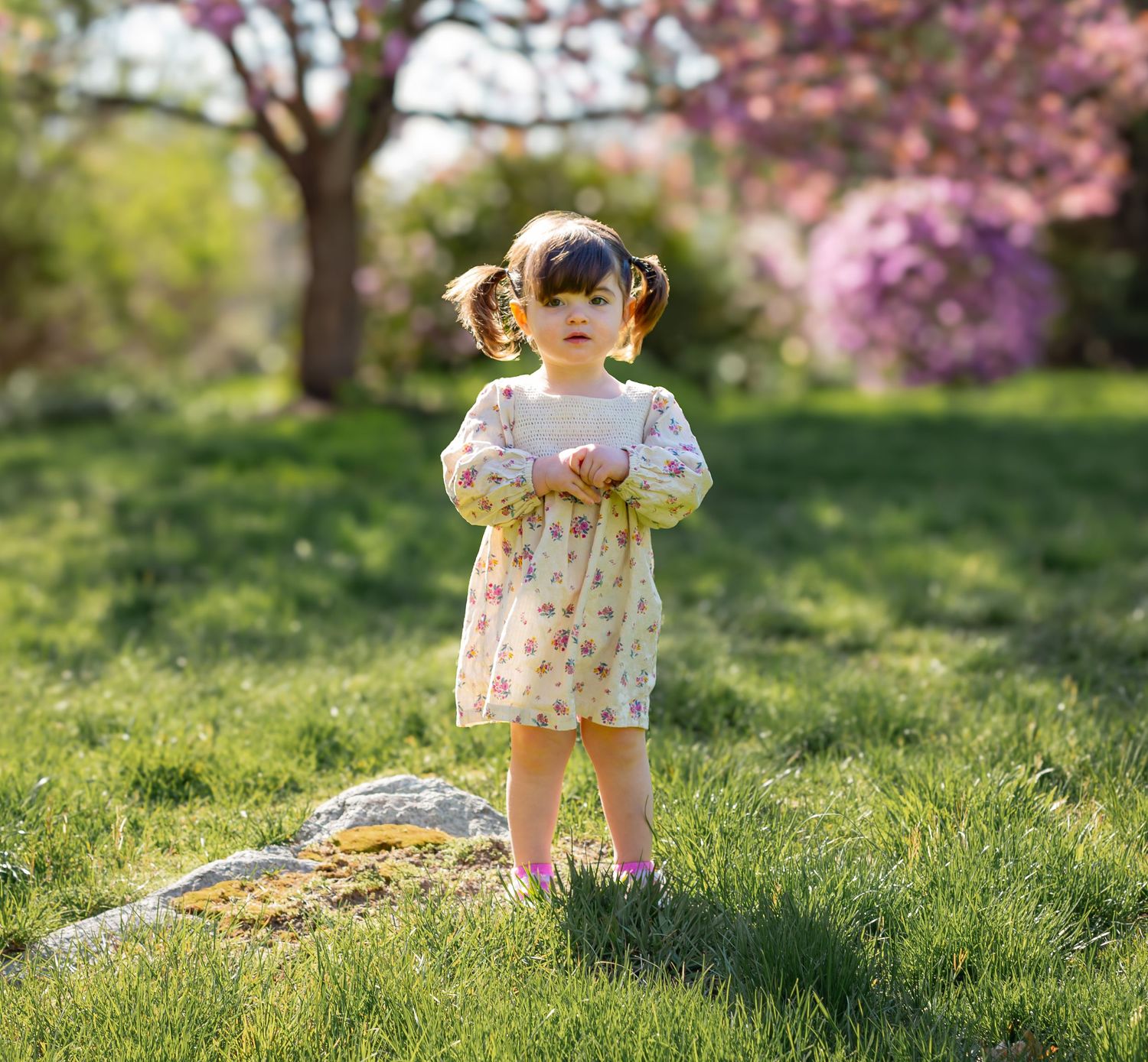 Toddler girl in floral dress with pigtails standing on green grass near blooming spring trees.