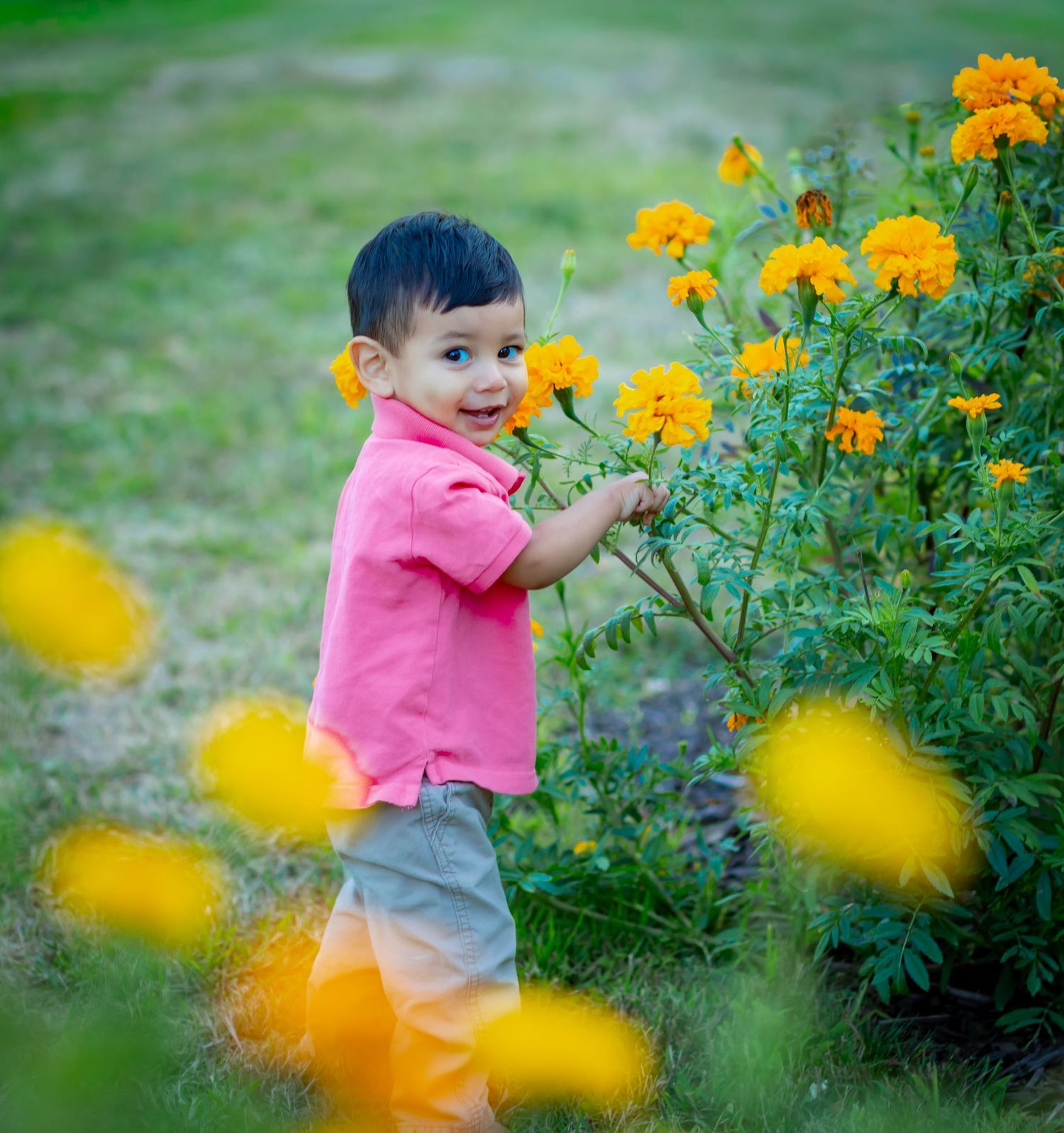 A smiling toddler in a pink shirt touches bright orange marigold flowers in a lush green garden.
