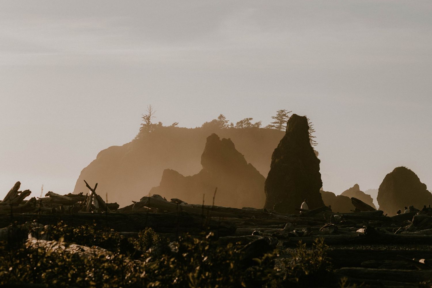 Silhouetted sea stacks and driftwood at golden hour on a misty Pacific Northwest beach.