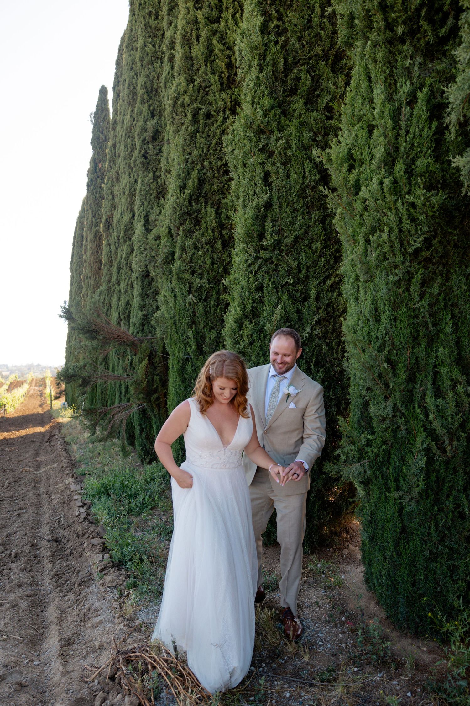Wedding couple walking together along path lined with tall cypress trees.