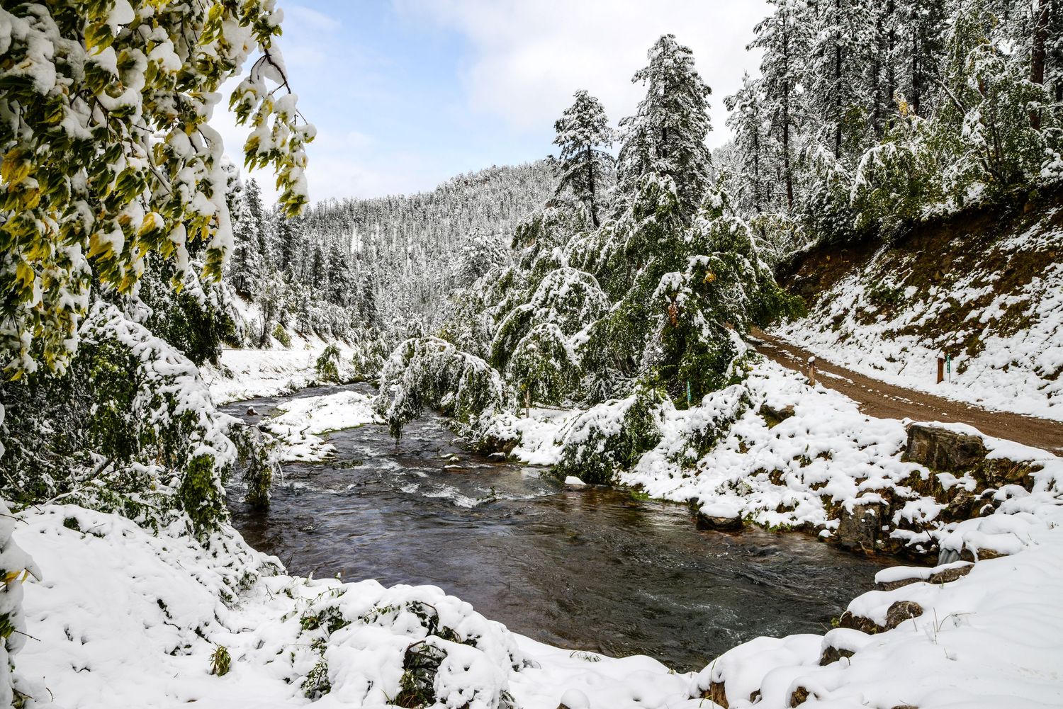Snow-covered evergreen forest alongside a flowing mountain river in winter, with a winding road visible on the hillside.
