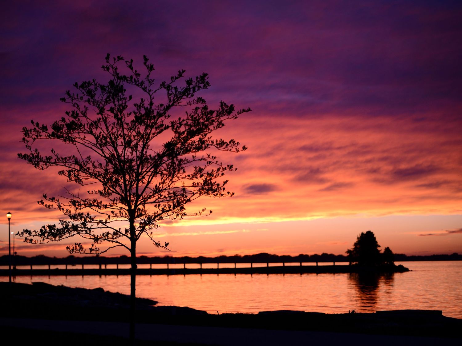 Stunning purple and red sunset silhouetting a bare tree beside a calm lake with a pier stretching into the water.