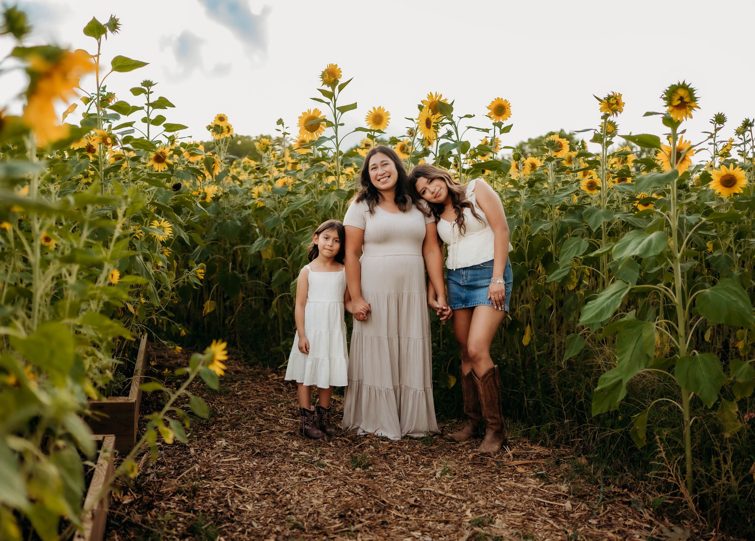 Pregnant woman and two girls posing in sunflower field on sunny day.