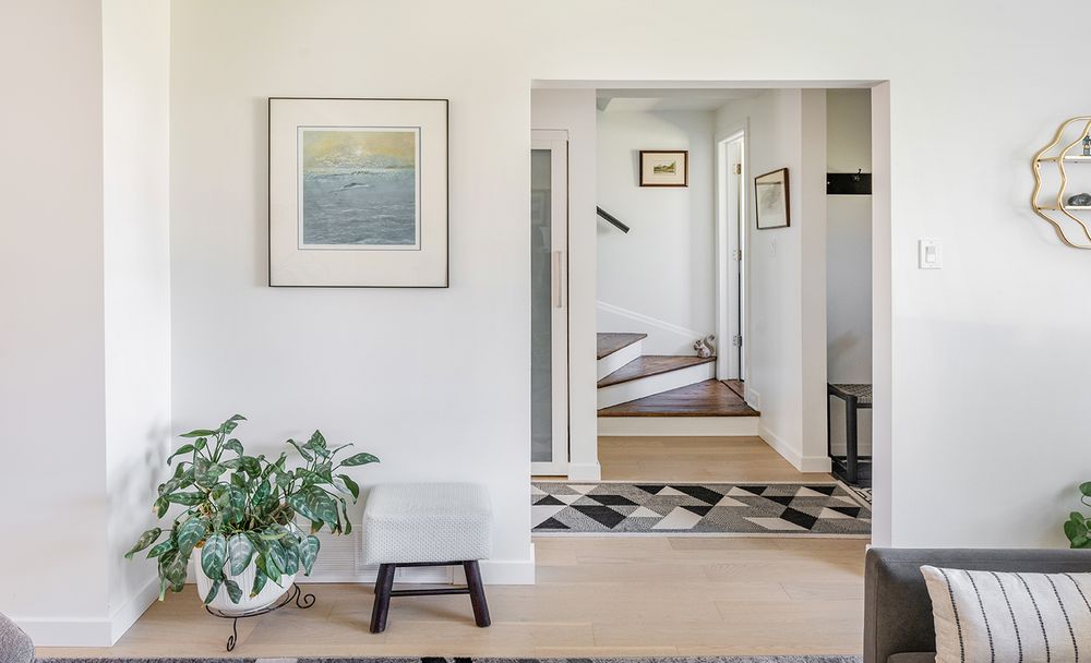 Bright modern hallway with hardwood floors, geometric rug, white walls, framed art, and a lush green potted plant on a stool.