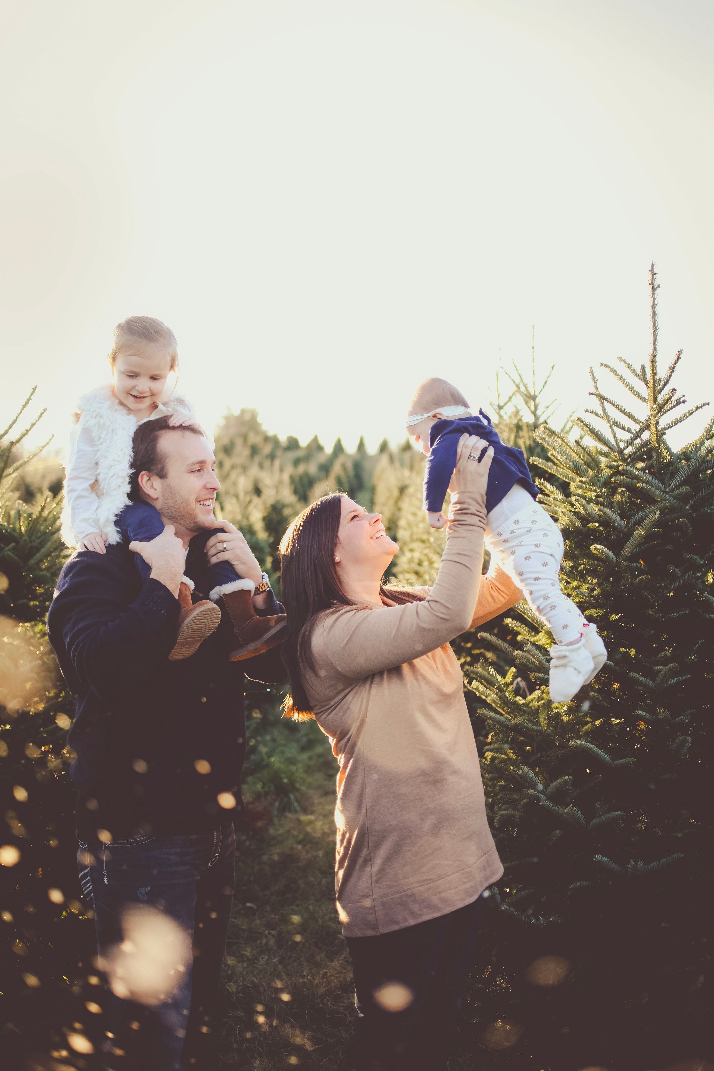 Family enjoying a Christmas tree farm outing, with parents lifting two young children among rows of evergreen trees.