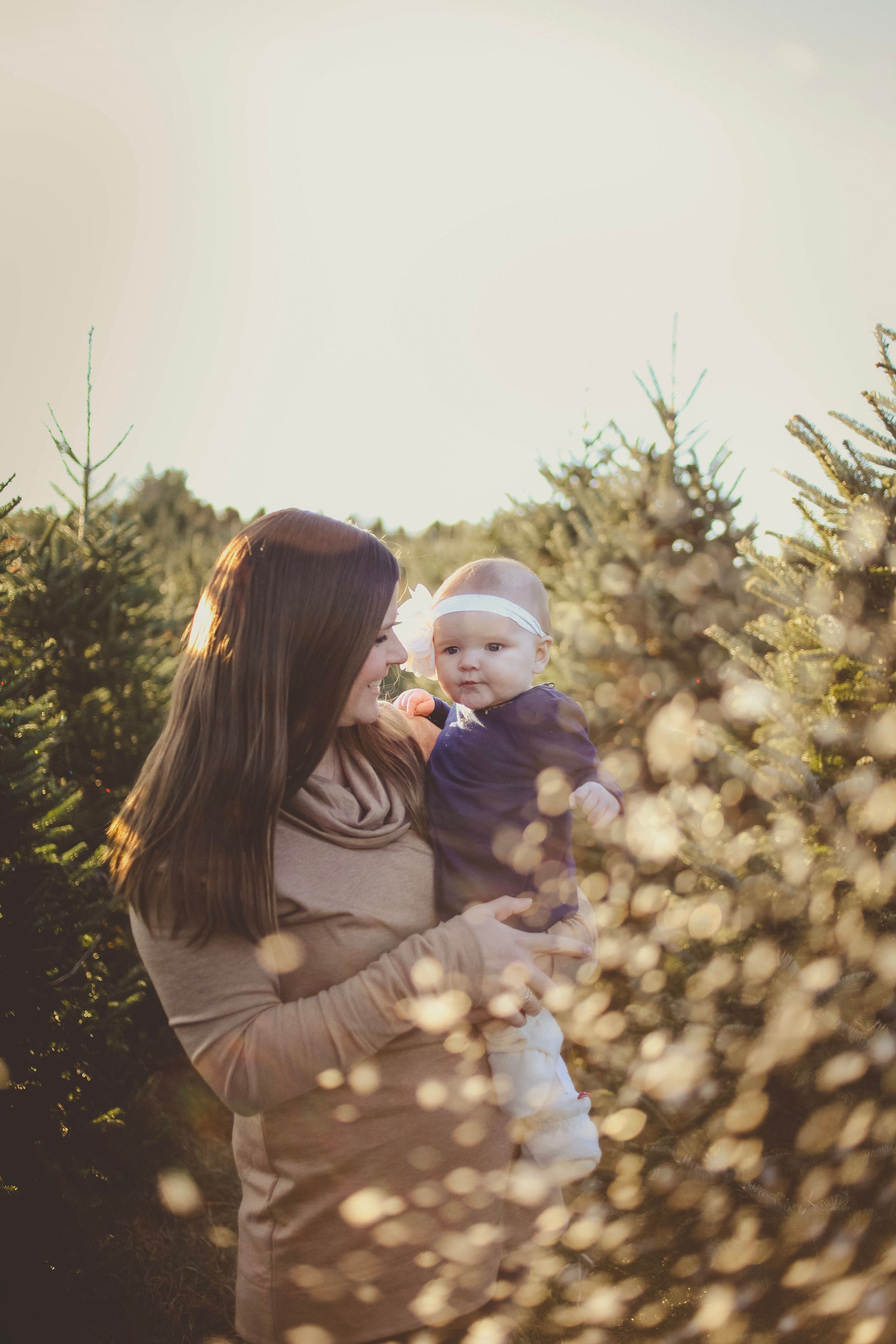A mother holds her baby girl among Christmas trees in golden sunlight at a tree farm.