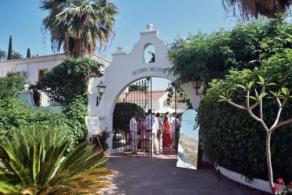 Elegant white archway entrance with iron gate surrounded by lush palm trees and greenery at a Mediterranean villa.
