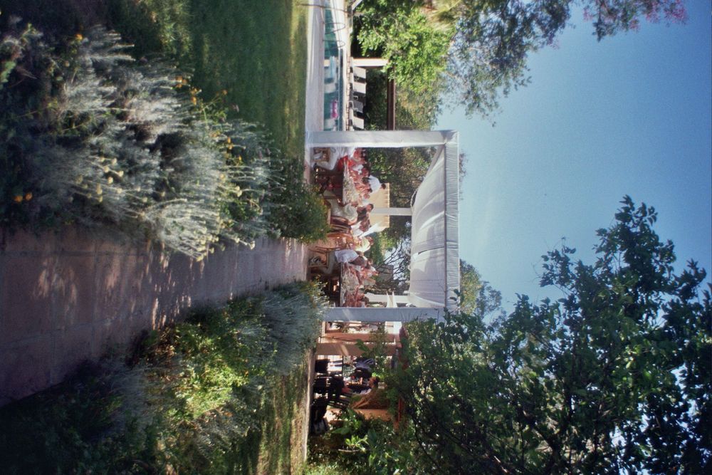 A lush garden pathway leads to a white pergola surrounded by colorful flowers and mature trees on a sunny day.