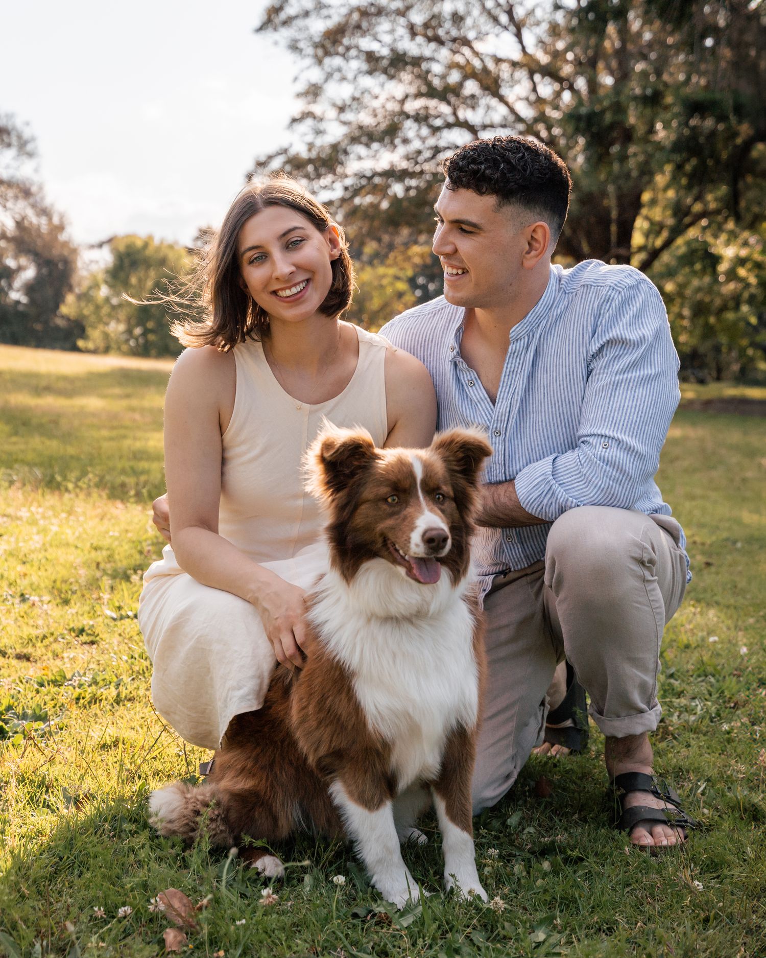 couple-and-their-border-collie-sitting-on-a-green-grass-during-an-engagment-photoshoot