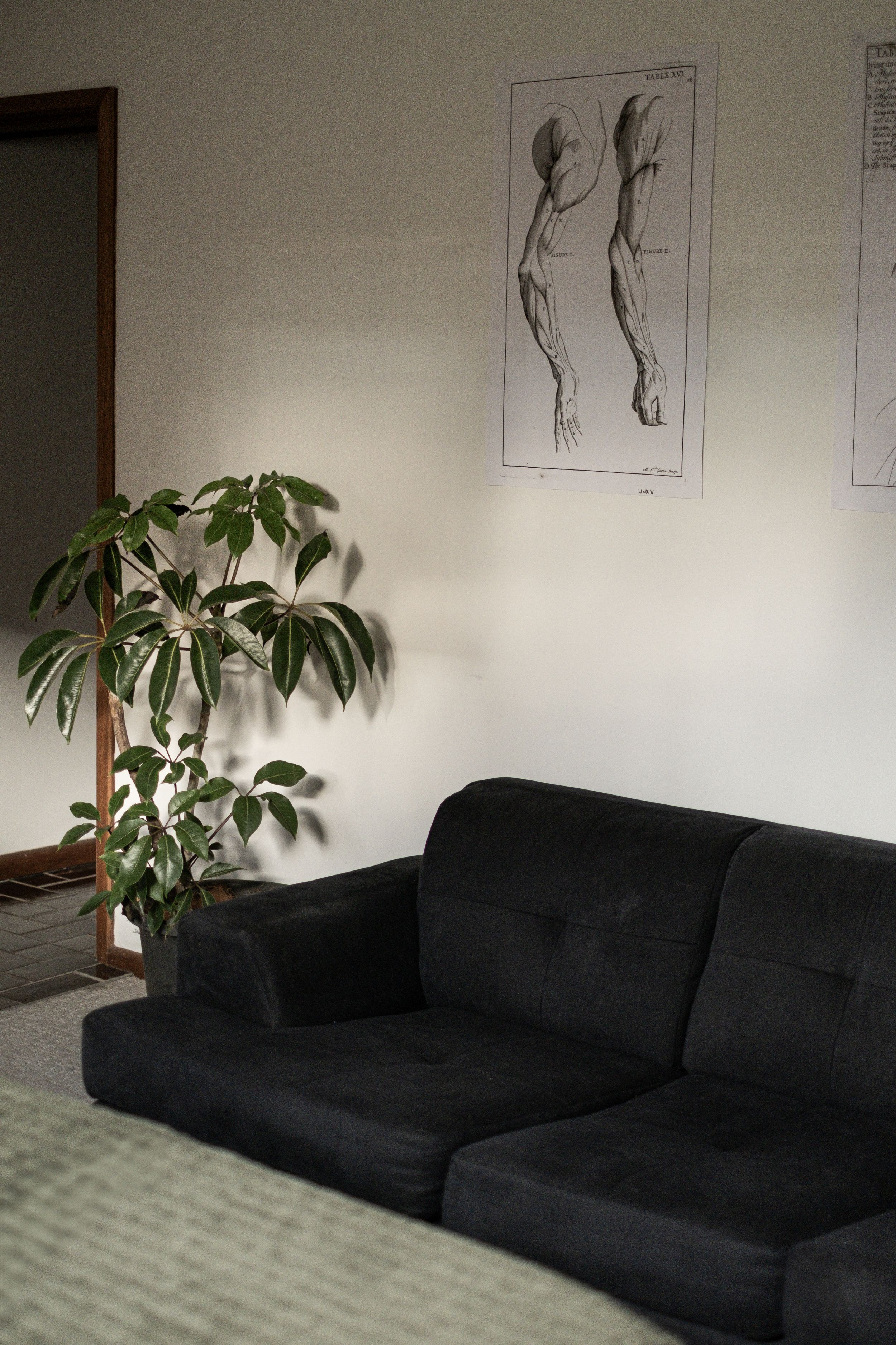 A dark grey sectional sofa sits against a white wall with minimalist artwork and a potted houseplant visible.