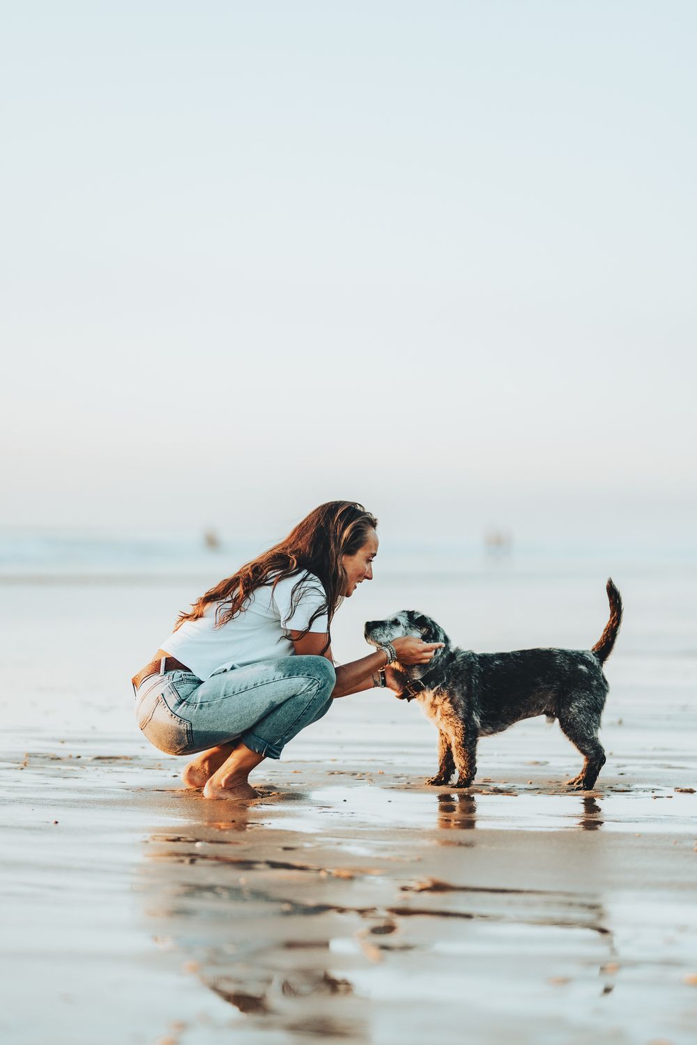 Une séquence ludique montre quelqu'un et son chien courir et jouer ensemble sur une plage brumeuse au coucher du soleil.