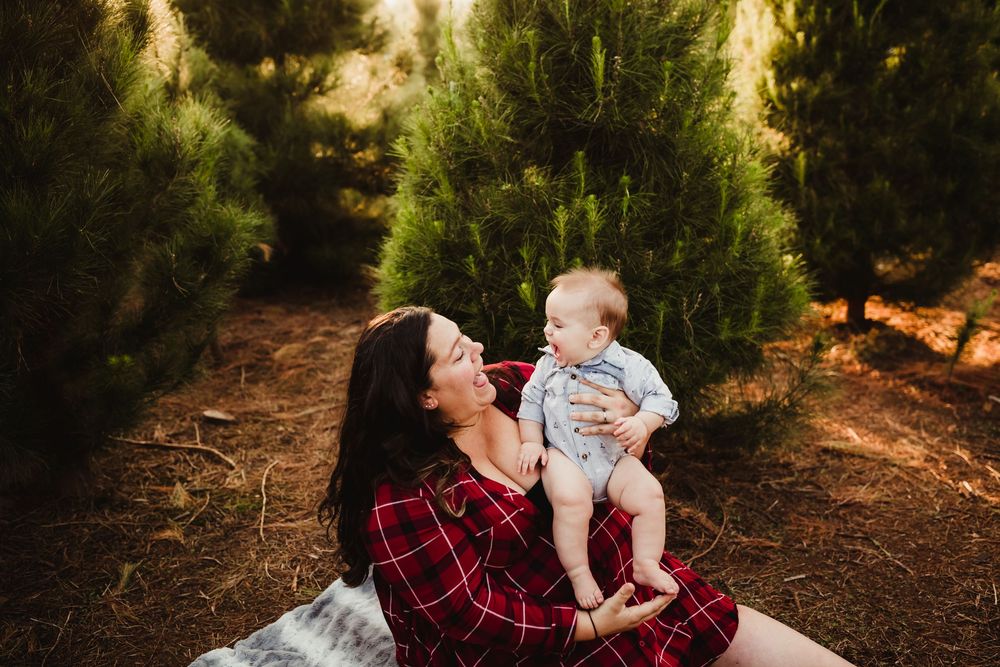 A tender moment at sunset in a Christmas tree farm as parent and baby sit surrounded by evergreen trees.