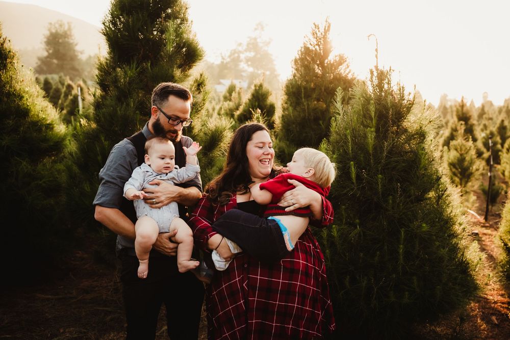 A family shares a joyful moment together at a Christmas tree farm during golden hour.