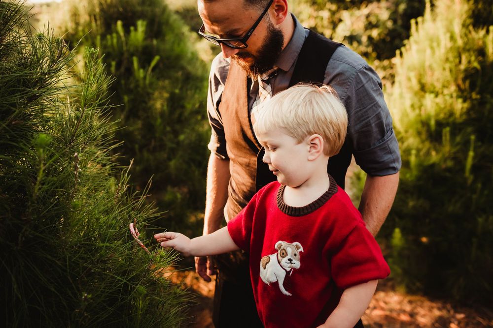 A young child in a red shirt explores pine trees with an adult during sunset.