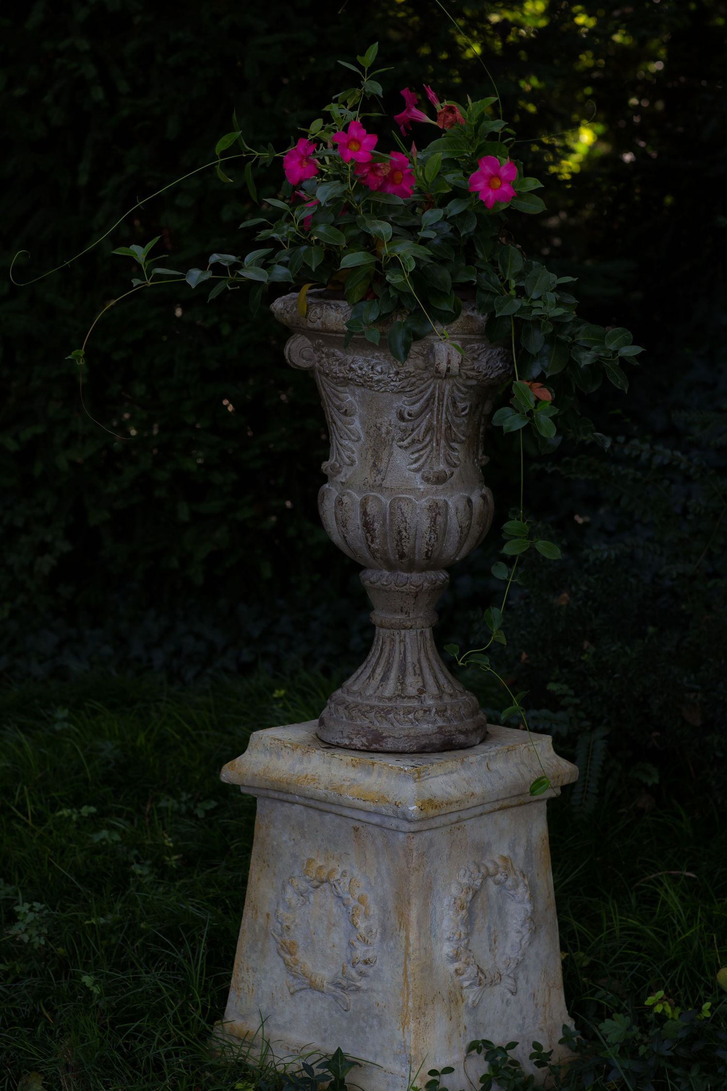Decorative stone garden urn with ornate details sits among flowering plants in a shaded garden setting.