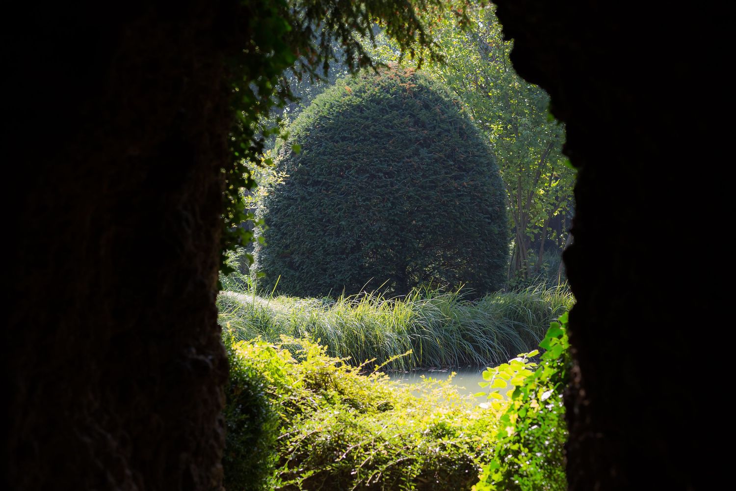 View through a dark tunnel opening revealing sunlit greenery and nature beyond.
