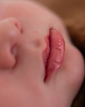 Multiple extreme close-up macro photos of pink lips showing subtle texture details and moisture.