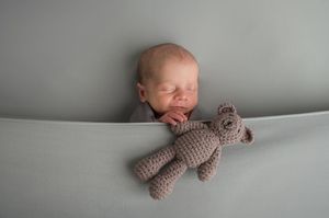 Series of tender newborn portraits with knitted teddy bear companion on neutral gray background.
