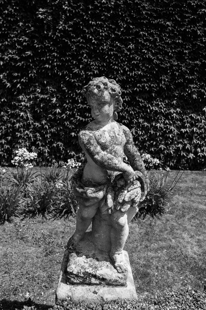 A classical stone garden statue of a cherub stands against an ivy-covered wall background in black and white.