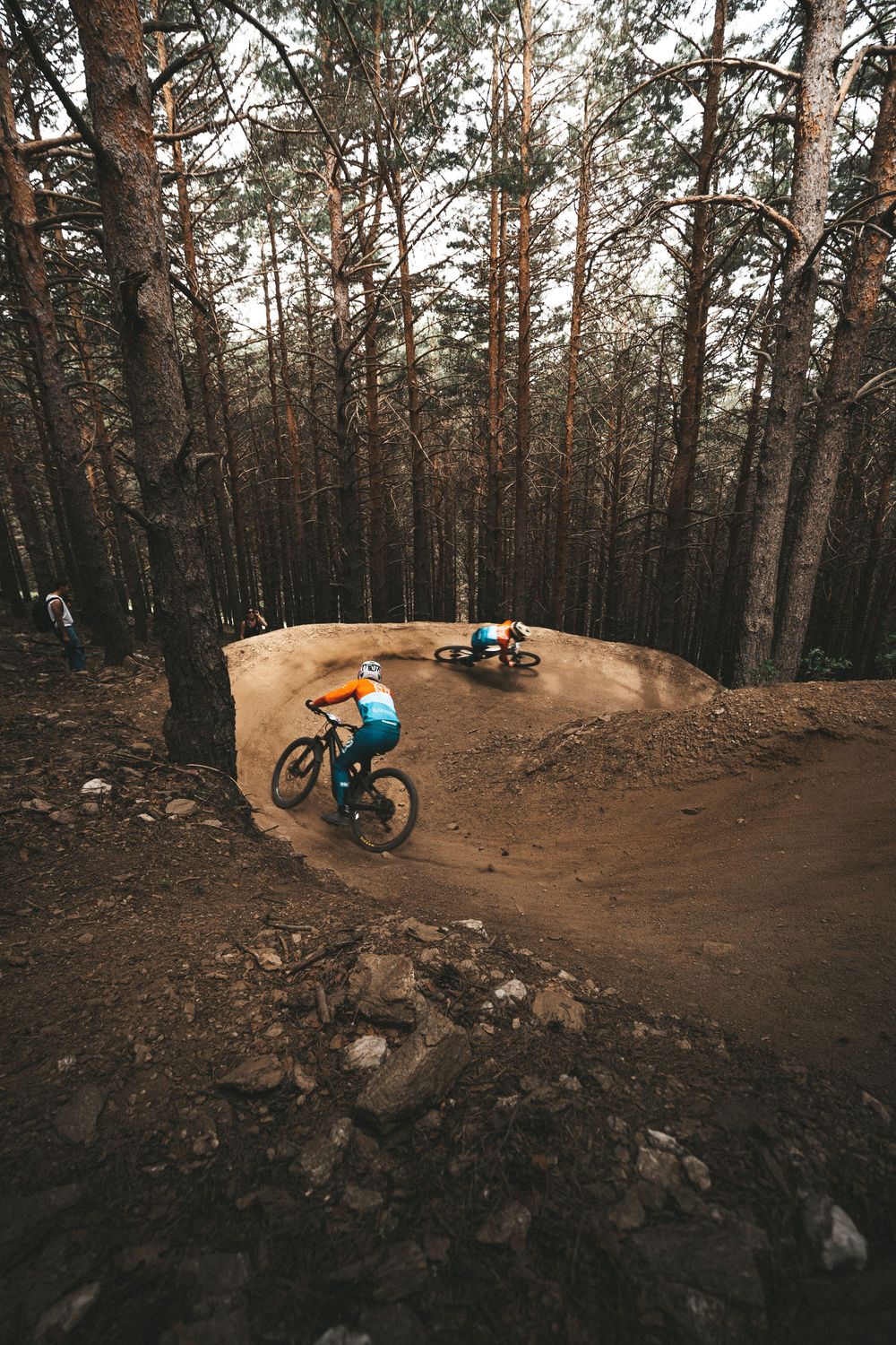 Mountain biker rides a curved dirt trail through a forest of tall pine trees at sunset.