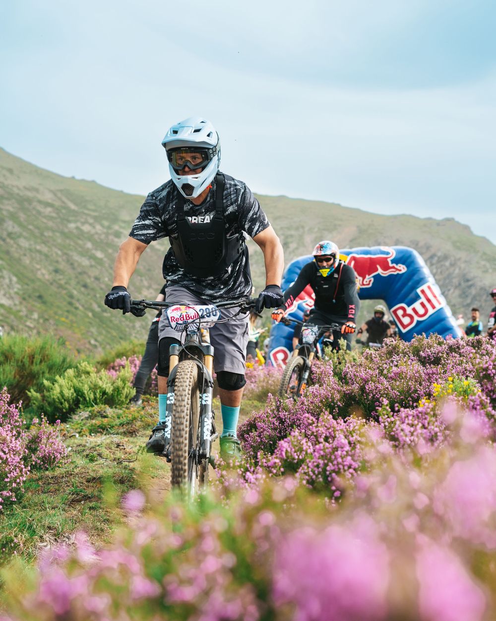 Mountain biker rides trail through purple wildflowers with Red Bull promotional vehicle visible in background.