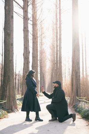 A proposal scene unfolds in a sunlit forest path between tall trees.