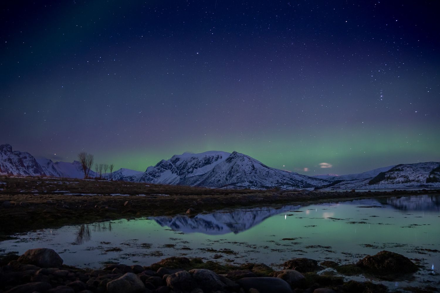 Aurores boréales à senja en norvège en hiver. Fjord gelé