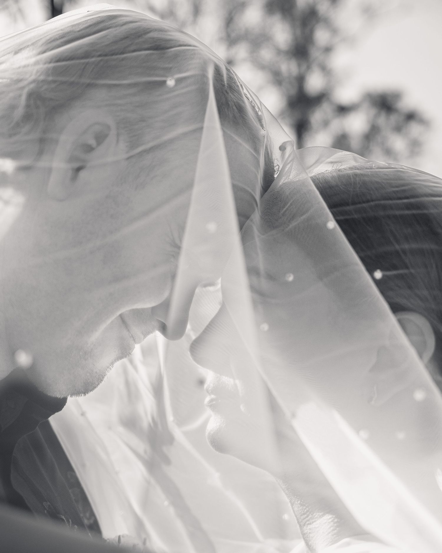 Wedding Photo