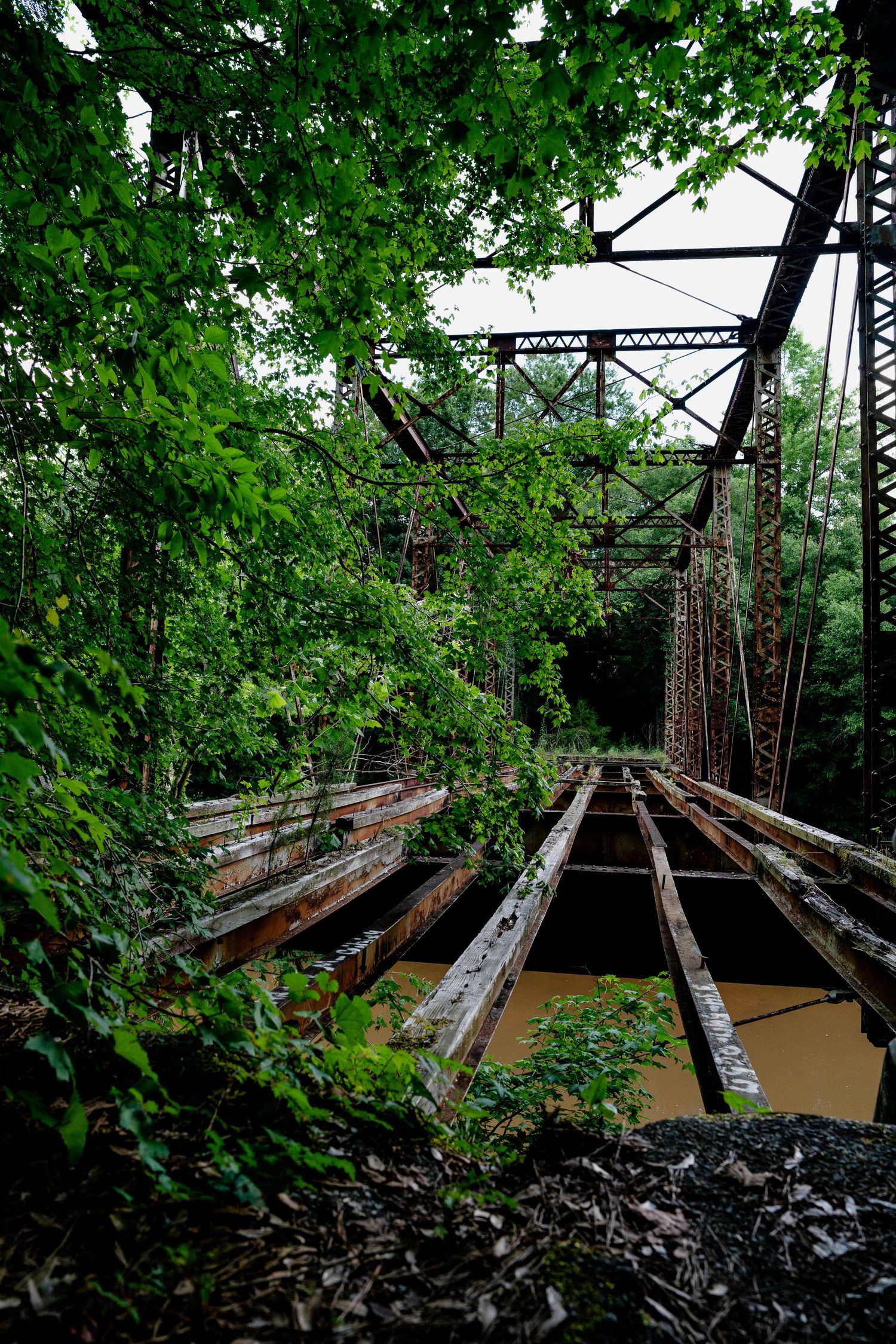 Abandoned bridge in Alabama with nature taking over the bridge.